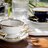 Cmielow Porcelain