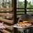 Garden and barbecue