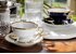 Cmielow Porcelain